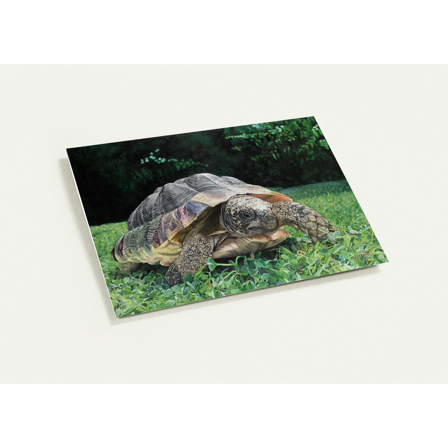 50165bd4-f423-426d-b476-0621d2b78cf9