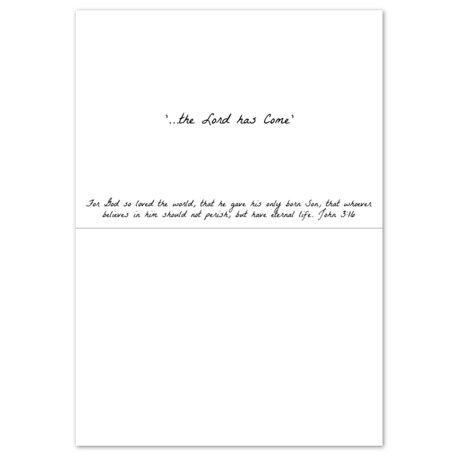 Pack of 10 Greeting Cards (Christmas)