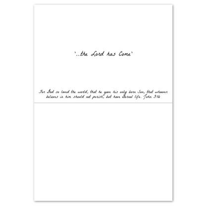 Pack of 10 Greeting Cards (Christmas)