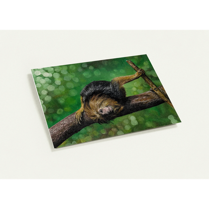 aa827b8b-bb73-42a5-86d1-715849981fb0