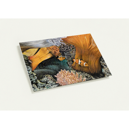 d2c4a203-47b6-4c19-8478-e94c1272a1ef