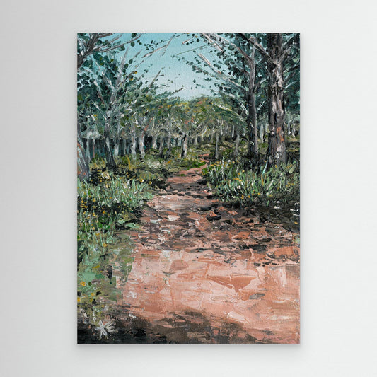 Footsteps Through Portugal