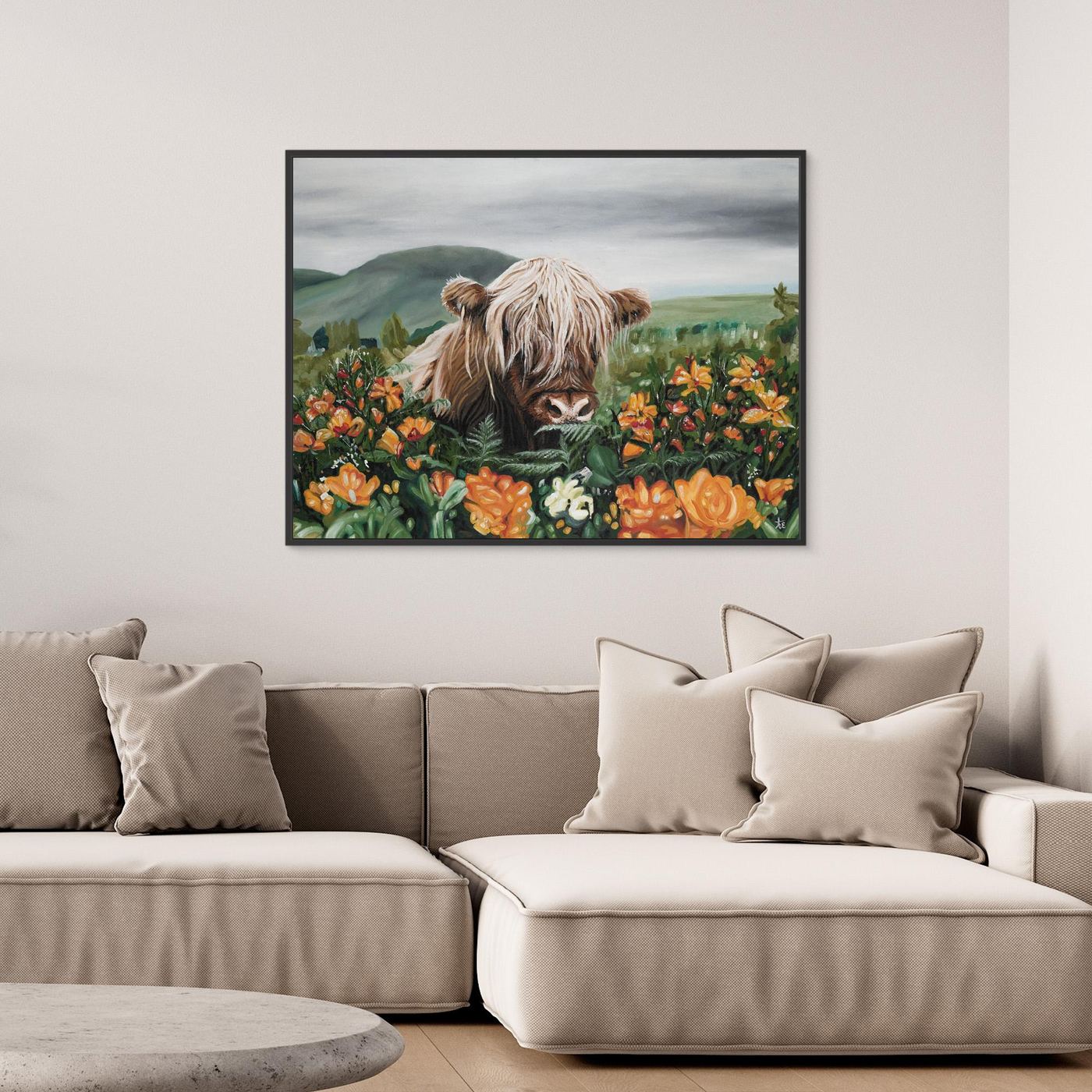 Highland cow