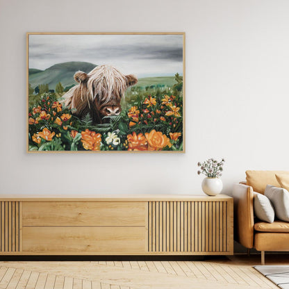 Highland cow