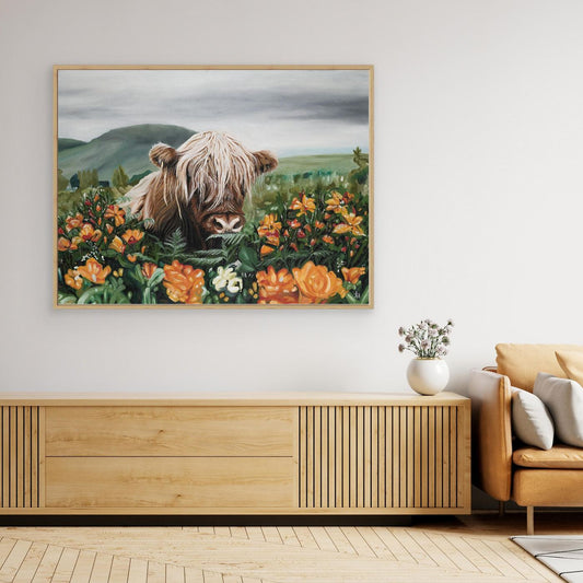 Highland cow