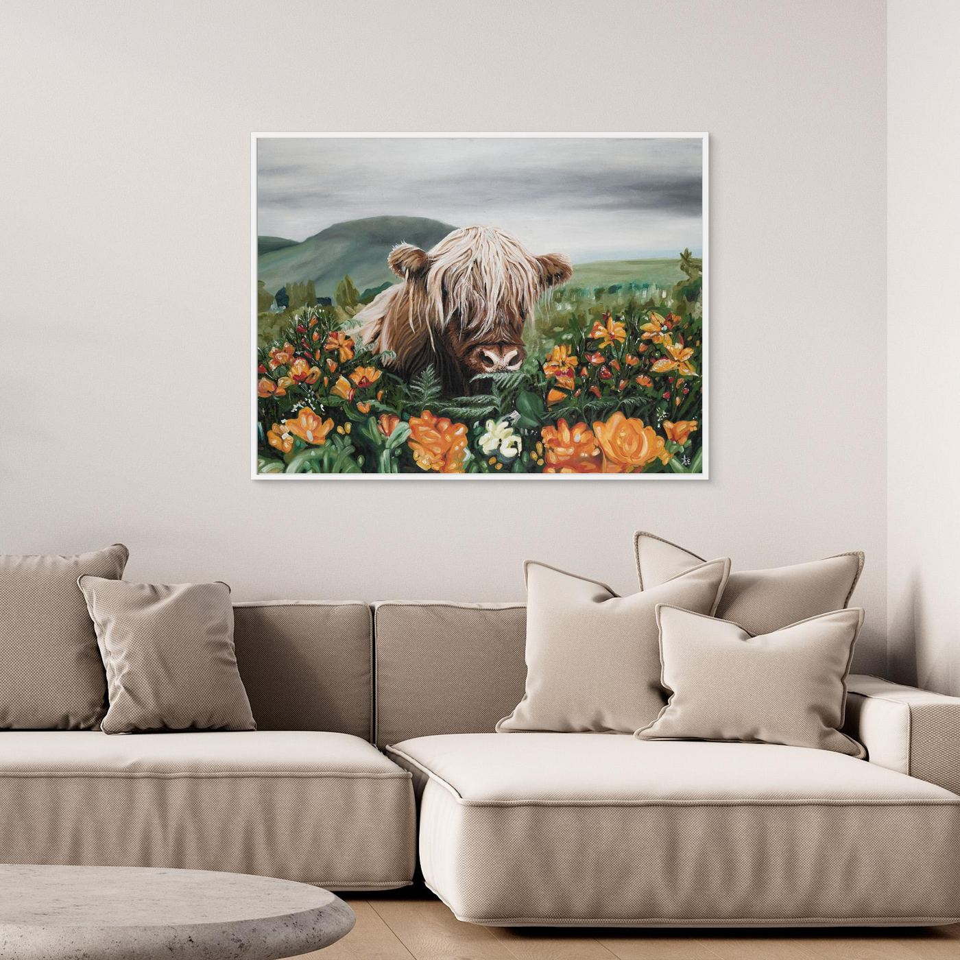 Highland cow