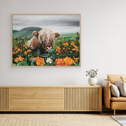 Highland cow